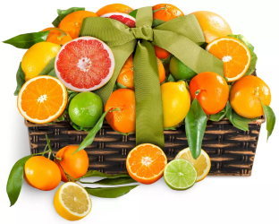 Ultimate Citrus Fruit Basket Basket Ultimate Citrus Fruit Basket Basket