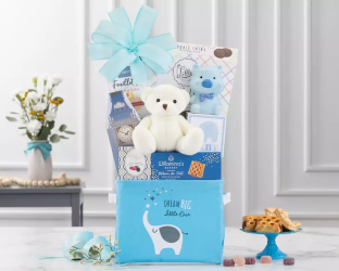 Baby boy gift basket with teddy bear, books, and toys 