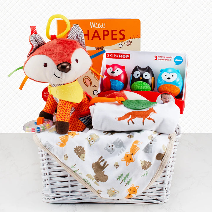 Baby gift basket with blanket, books and more.